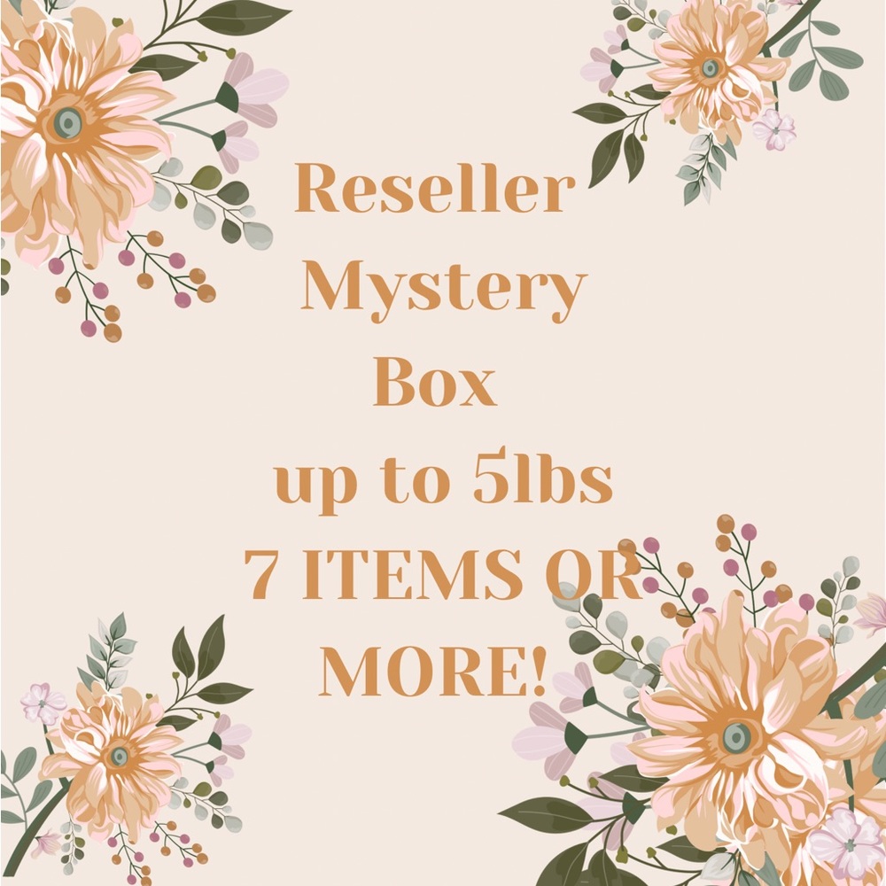 5 Pound Reseller Mystery box Preloved reseller box Mall Brands Size 0-3X